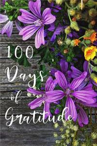 100 Days of Gratitude