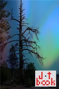 The Jot Book(tm) - A Notebook, Journal, or Composition Book for Your Jots - Light Series - 006