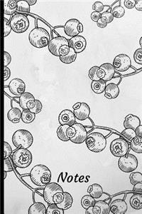 Notes