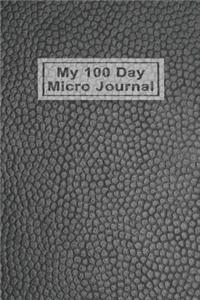 My 100 Day Micro Journal