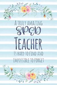A Truly Amazing Sped Teacher Is Hard To Find And Impossible To Forget