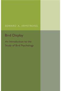 Bird Display