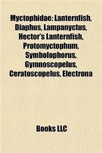 Myctophidae