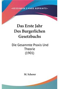 Das Erste Jahr Des Burgerlichen Gesetzbuchs