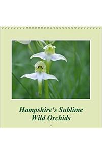 Hampshire's Sublime Wild Orchids 2017