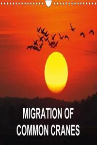 Migration of Common Cranes 2018