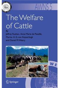 Welfare of Cattle