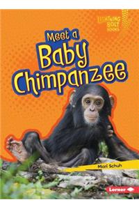 Meet a Baby Chimpanzee