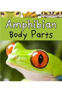 Amphibian Body Parts