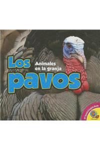 Pavos