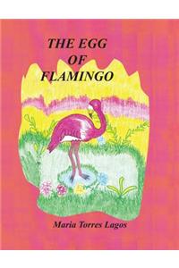 Egg of Flamingo