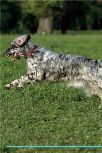 English Setter Affirmations Workbook English Setter Presents