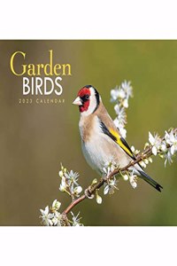 Garden Birds A4 Calendar 2023