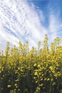 Mustard Field in North Dakota Journal