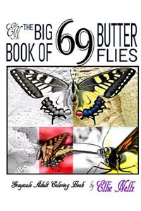 The Big Book of 69 Butterflies