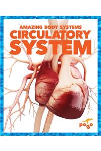 Circulatory System