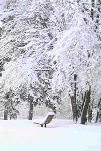 Leise rieselt der Schnee Notizbuch