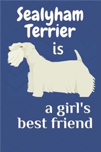 Sealyham Terrier is a girl's best friend