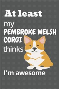 At least my Pembroke Welsh Corgi thinks I'm awesome