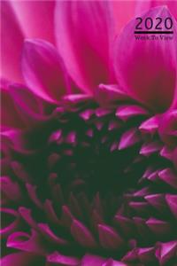 A5 2020 Diary Week To View Paperback Cover With Alternative Design -