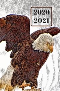 Patriotic American White & Brown Bald Eagle Dated Calendar Planner 2 years To-Do Lists, Tasks, Notes Appointments