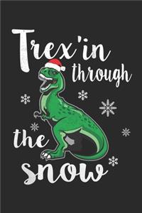 Trex in through the snow