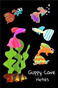 Guppy Care Notes