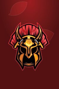 Internet Password Organizer