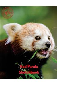 Red Panda Sketchbook