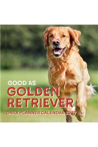 Good as Golden Retriever