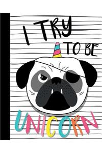 I Try to be a Unicorn.