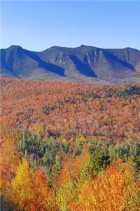 Mountain Peaks Evergreens Fall Foliage Journal