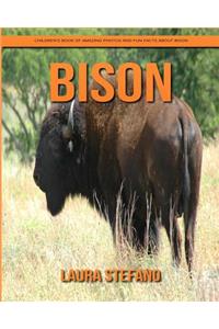 Bison