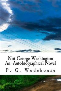 Not George Washington An Autobiographical Novel