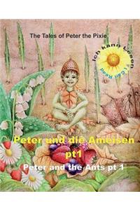 Peter the Pixie