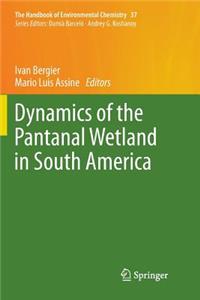 Dynamics of the Pantanal Wetland in South America