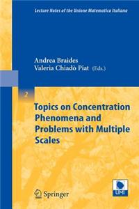 Topics on Concentration Phenomena and Problems with Multiple Scales
