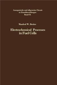 Electrochemical Processes in Fuel Cells