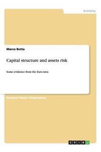 Capital structure and assets risk
