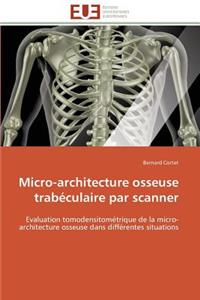 Micro-Architecture Osseuse Trabéculaire Par Scanner