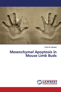 Mesenchymal Apoptosis in Mouse Limb Buds
