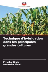 Technique d'hybridation dans les principales grandes cultures