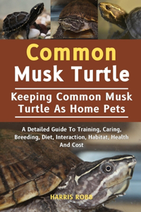 Common Musk Turtle