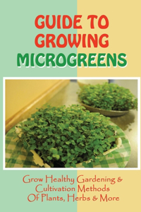 Guide To Growing Microgreens