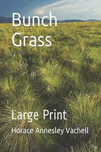 Bunch Grass