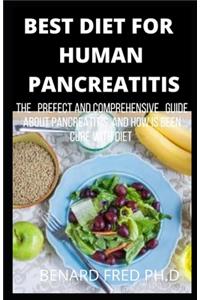 Best Diet for Human Pancreatitis