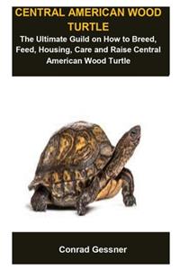 Central American Wood Turtle