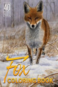 Fox Coloring Book