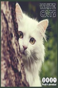 White CATS