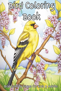 Bird Coloring Book